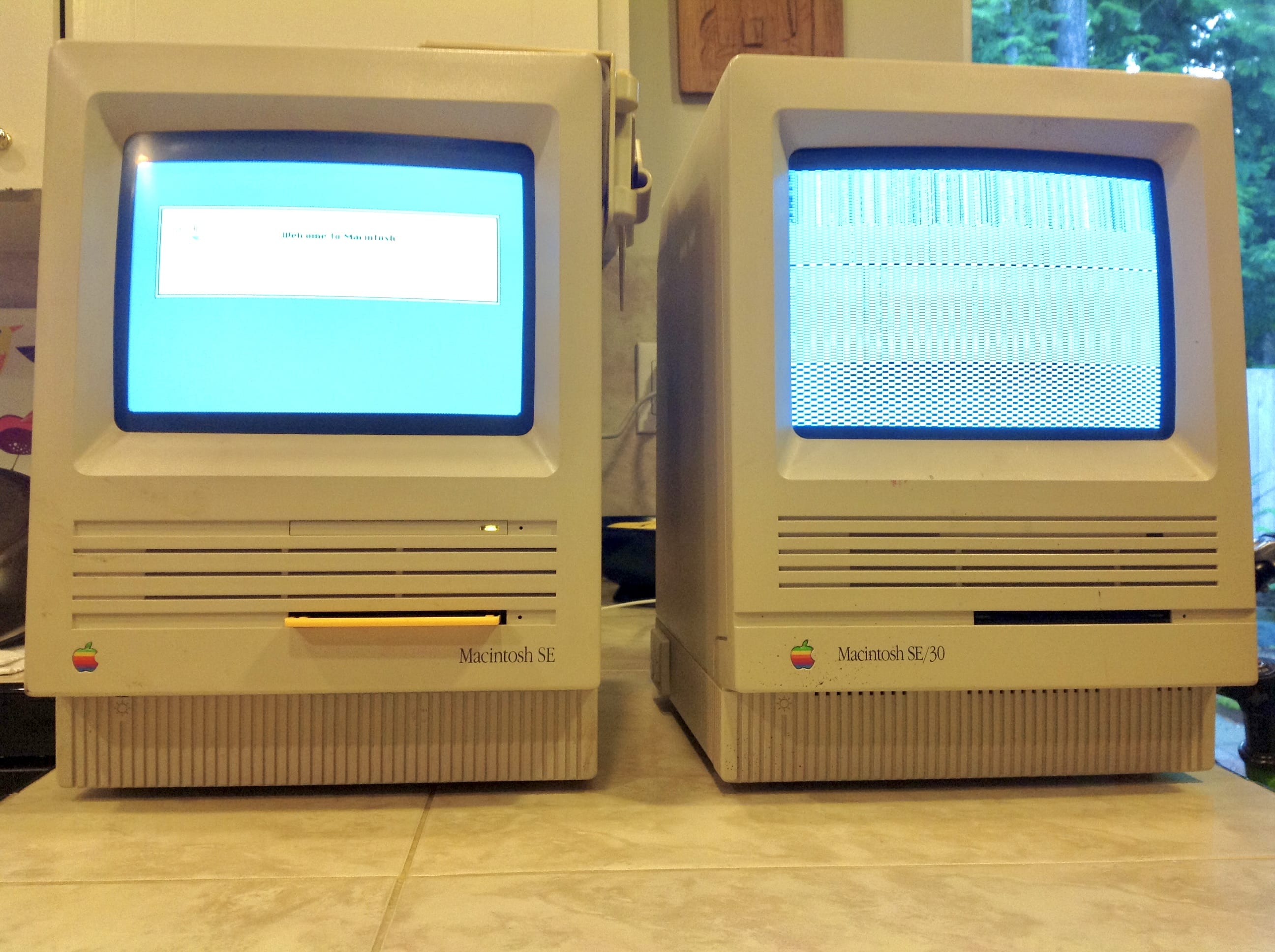 Macintosh