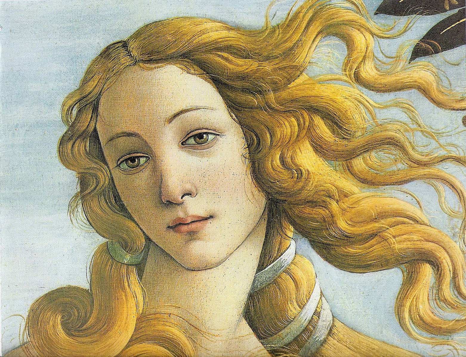 Public domain photograph of Botticelli's *Birth of Venus* painting. 
Sandro Botticelli, Public domain, via Wikimedia Commons license.
Sandro Botticelli, The Birth of Venus (c. 1484–1486). Tempera on canvas. 172.5 cm × 278.9 cm (67.9 in × 109.6 in). Uffizi, Florence