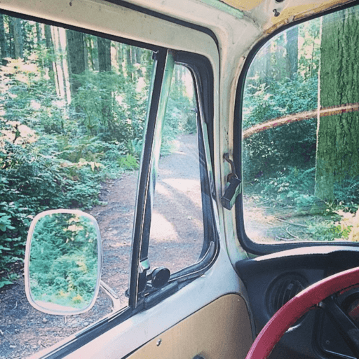 forest drive