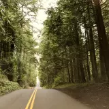Arbor