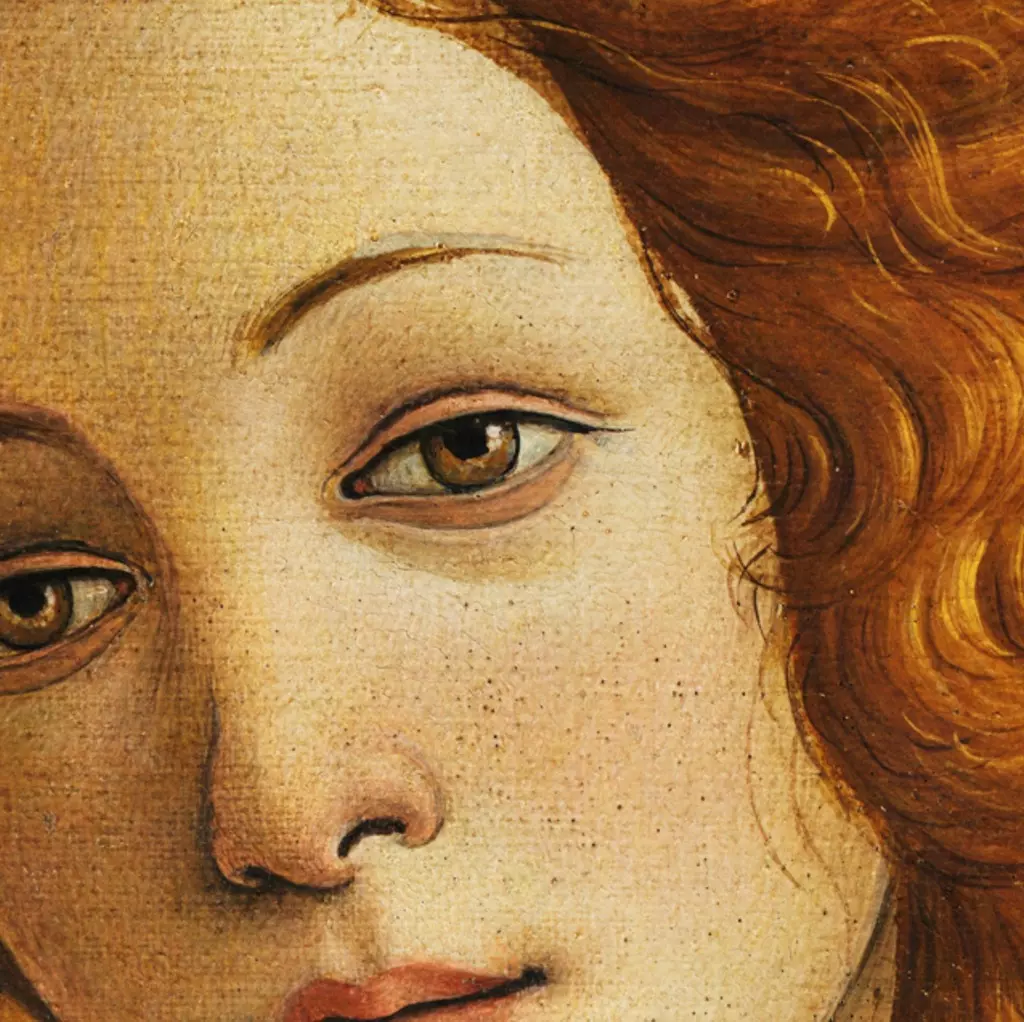 Birth of Venus, via Wikipedia