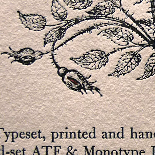 Letterpress close up