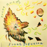 Final Solution