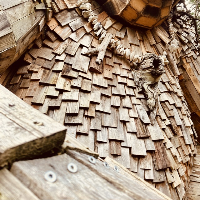 Wood body